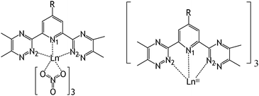 Simulated 1 ∶ 1 Ln(NO3)3(R–BTP) complexes (Ln = La, Eu) and 1 ∶ 3 Ln(R–BTP)33+ complexes (Ln = La, Eu, Yb).