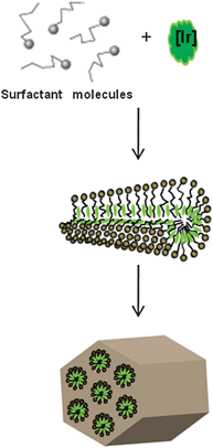A possible schematic illustration of [Ir] incorporation into the mesostructured silica materials.