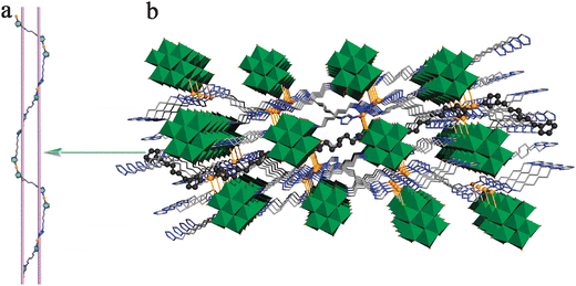 (a) View of the 1D meso-helix chain in 1. (b) Illustration of the 3D framework of 1.