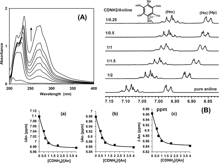 (A) UV-vis absorption spectra of aniline at constant concentration (4 × 10−5 M) in a 1 M HCl aqueous solution with increasing concentration of β-CDNH2 ranging from 5 × 10−4 to 5 × 10−3 M. (B) 1H NMR spectra of the aromatic region showing the shifted peaks for the (a) meta, (b) ortho and (c) para protons for different β-CDNH2/aniline molar ratios, and the best fit of the 1 : 1 complexation equilibrium under fast exchange conditions with K11 = 1100 mol−1 L.