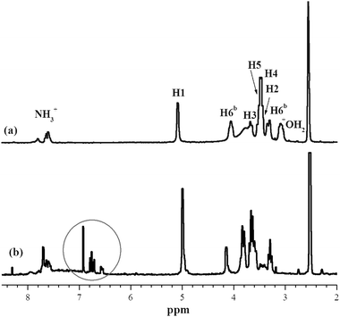 
          1H NMR spectra of (a) β-CDNH2·HCl salt and (b) HCl-doped PANI⊂β-CDNH2 in DMSO-d6. PANI aromatic protons are circled.