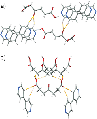 C–H⋯O interactions (dashed and orange) between hydrogen-bonded chains in (a) Form I and (b) Form II.