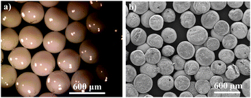Optical (a) and SEM (b) images of CTF-M composite microspheres.