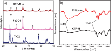 (a) XRD patterns of TiO2 nanoprticles, Fe3O4 nanoparticles, and CTF-M composite microspheres. (b) FTIR spectra of pure chitosan and CTF-M composite microspheres.