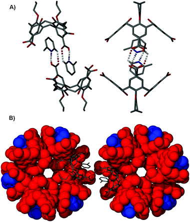 (A) Orthogonal views of the hydrogen-bonded dimer formed by crystallisation of 4 from 2-picoline. Hydrogen bonds are shown as dashed lines, and all other hydrogen atoms omitted for clarity. (B) Space filling view down the centre of two triply helical nanotubes in 4·2-Pic showing the bridging nature of a hydrogen-bonded dimer in stick representation. Space filling colour code: 4—red, 2-Pic—blue. Stick representation colour code: C—grey, N—blue, O—red. Hydrogen atoms omitted for clarity.