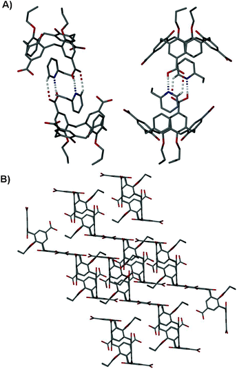 (A) Orthogonal views of the hydrogen-bonded dimer formed by crystallisation of 4 from 2-ethylpyridine. Hydrogen bonds are shown as dashed lines, and all other hydrogen atoms omitted for clarity. (B) Stick representation of the extended structure in 4·2-Etpy showing disruption of nanotube formation. Hydrogen atoms and solvent molecules omitted for clarity.