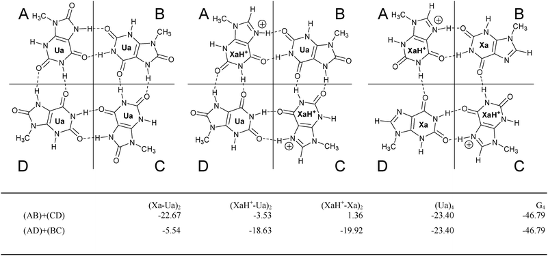 Dimer fragmentation. The pertinent dimers are built up from the monomers in areas A, B, C or D and the interaction energy (in kcal mol−1) between the dimer fragments is summarized in the table. In the Ua4 and G4 cases the A, B, C, D regions are defined in the similar way.