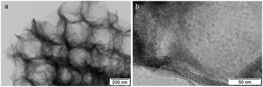 (a) TEM image and (b) HRTEM image of the carbon replica.