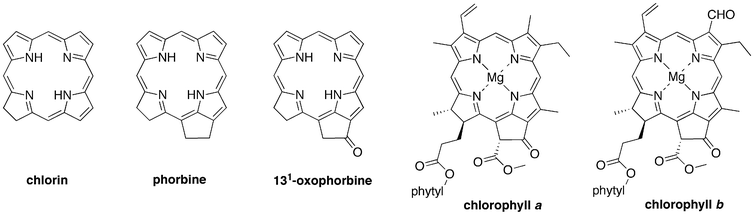 Building the skeleton of chlorophyll a.