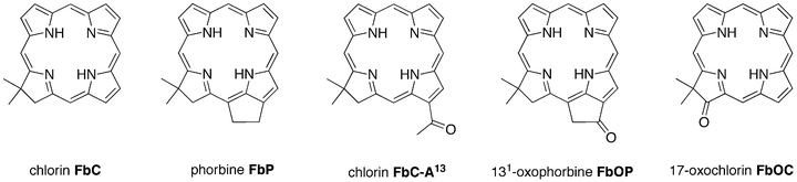 Benchmark molecules for chlorophylls.