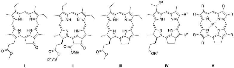 Historical precedents in 131-oxophorbine and phorbine chemistry.