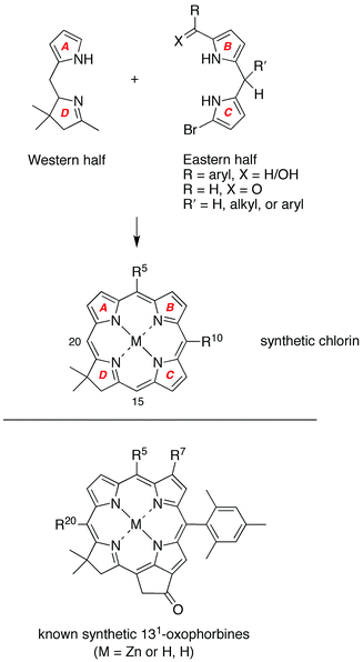 
              De novo synthesis of chlorins (top). All prior known synthetic 131-oxophorbines incorporate a 10-mesityl group and one or two other substituents (bottom).