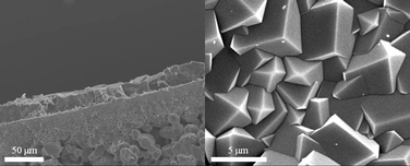 
          SEM image of the cross-section (left) and surface (right) of the membrane.