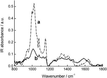 
          FTIR-ATR
          spectra on dried samples of (a) α-CD and (b) Au–CD–1.