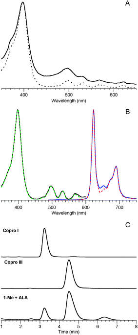 Data for coproporphyrin obtained upon oxidation of a sample from the reaction of 1-Me and ALA (pH 7, 60 mM ALA and 120 mM 1-Me, 24 h, 60 °C). (A) Absorption spectra in n-propanol of the crude porphyrin extract (solid line) and comparison with the spectrum of an authentic sample of coproporphyrin III (dashed line); the spectra are normalized at the Soret band. (B) Fluorescence excitation (λem 678 nm) and emission spectra (λexc 398 nm) in n-propanol of the crude coproporphyrin (solid lines) obtained upon oxidation and extraction are compared with an authentic sample of coproporphyrin III (dashed lines, normalized at the peak bands). (C) HPLC with absorption spectral detection of the crude porphyrin extract compared with authentic samples of coproporphyrin I and coproporphyrin III. Three putative coproporphyrin isomers are observed in the crude sample. See Materials and methods for HPLC conditions.