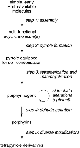 Conceptual steps in a pre-biosynthetic route to tetrapyrroles.