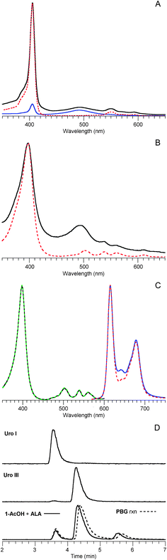 Characterization data for the uroporphyrin product obtained from reaction of 1-AcOH and ALA (120 mM each, pH 5, 60 °C, 24 h). (A) Absorption spectra in 0.1 M HCl. An aliquot from the reaction mixture diluted 850-fold into a 2.6 mL cuvette (solid blue line) shows a trace of porphyrin (Soret band at 405 nm) and dipyrrin species (490 nm) owing to background oxidation. Upon addition of excess I2 to the cuvette (followed by discharging with Na2S2O3) the colorless porphyrinogen30 is converted to the porphyrin (solid black line). The spectrum of an authentic sample of uroporphyrin III is included for comparison (dotted red line, normalized at the Soret band of the crude sample). (B) Absorption spectra in 0.1 M sodium phosphate (pH 7). The crude uroporphyrin extracted from acidic brine (solid black line) is compared with an authentic sample of uroporphyrin III (dotted red line). (C) Fluorescence excitation (λem 678 nm) and emission spectra (λexc 398 nm) in 0.1 M sodium phosphate (pH 7) of the crude uroporphyrin (solid lines) are compared with those of an authentic sample of uroporphyrin III (dashed lines, normalized at the peak band of the crude sample). (D) HPLC with mass spectral detection [m/z = 831 ± 2, (M + H)+] of the crude uroporphyrin (showing three putative isomers) is compared with data from authentic samples of uroporphyrin I and uroporphyrin III. The chromatogram from the acidic condensation (90 °C, 1 h, air oxidation) of PBG is shown in overlay. Slight variation in retention times (e.g., 6 s at 4.4 min) occurred for a given sample on multiple runs. See Materials and methods for HPLC conditions.