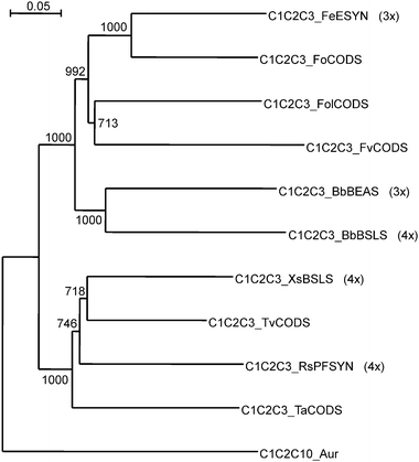 Phylogenomic analysis of CODSs. The sequences of the C1, C2, and C3 domains of the CODSs were concatenated, a multiple sequence alignment was created in VectorNTI, and bootstrapped trees were calculated in ClustalX with the neighbor-joining method using 1000 repeats. The phylogram was plotted with NJPlot using C1C2C10_Aur, the concatenated sequences of the C1, C2 and C10 domains of the aureobasidin synthetase,114 as the outgroup. The scale shows the number of substitutions per site, and significant (>500) bootstrap values are indicated near the forks. (3×) and (4×) indicates the cyclotrimeric or cyclotetrameric nature of the known COD products, respectively.