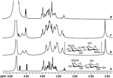 
            1H PSR filtering. 1H NMR spectra (D2O, 500 MHz) of (a) lactose, (b) HA, (c) a mixture of lactose and HA in the absence of Gd3+, and (d) a mixture of lactose and HA in the presence of Gd3+ (0.4 mM).