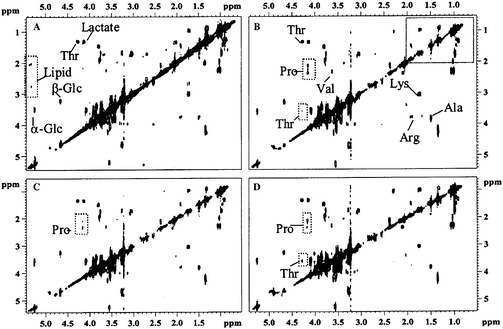 Relaxation-edited 1H–1H COSY NMR spectra of human blood plasma. (A) Normal COSY spectrum; (B) T1-edited spectrum; 265 ms filter; (C) T1ρ-edited spectrum, 120 ms filter; (D) T2-edited spectrum; 160 ms filter. Reprinted from ref. 1 with permission.