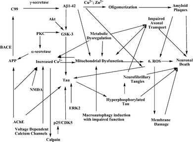 Summary of relevant Alzheimer’s disease pathways.