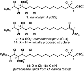 Malhamensilipin A structure and a comparison of the oxygenation pattern among freshwater chlorosulfolipids.
