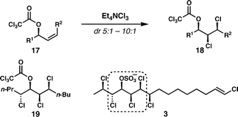 Diastereoselective dichlorination of Z-allylic trichloroacetates to generate key motifs of the chlorosulfolipids.