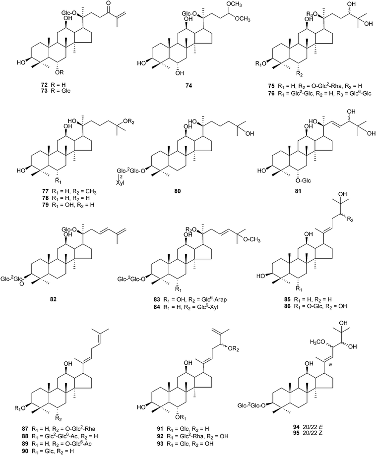 Chemical structures of recently isolated dammarane-type saponins from ginseng, compounds 72–95.