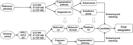 General strategy for identification of ginseng saponins in ginseng samples by mass spectrometry (MSn and accurate mass experiments).