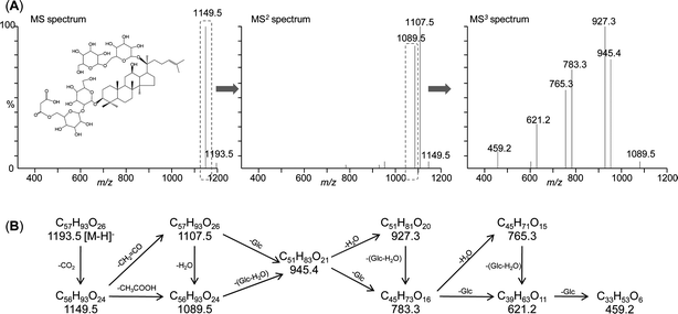 Mass spectrometry (MS) characterization of malonyl-ginsenoside Rb1 by tandem MS in negative ion mode. (A) Sequential mass spectrometric analysis of deprotonated malonyl-ginsenoside Rb1. (B) Interpretation of the fragmentation pattern. Experimental conditions are given in ref. 194.