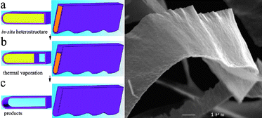Schematic representation of the steeps following in the surface assisted in situgrowth. (a) Cross section and section of ZnS/BN belt heterostructure. (b) Intermediate heterostructure following partial vaporization. (c) Hollow BN nanostructure. Low magnification SEM image of a BN nanoribbon showing its general morphological features (Taken from ref. 23. Reproduced by permission of the American Chemical Society).