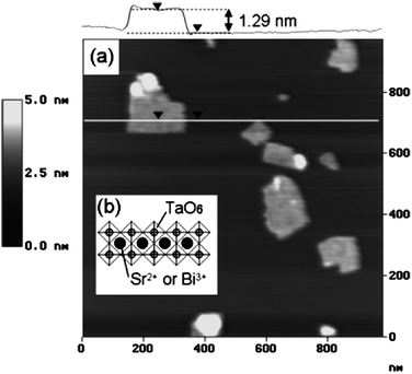 Structural model of a Bi2SrTa2O9 layer and its AFM topography image (Taken from ref. 37. Reproduced by permission of the American Chemical Society).