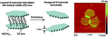 Schematic representation of the dodecyl sulfate ion intercalation between the nickel hydroxide layers and AFM topography image of the isolated hexagonal layers (Adapted from ref. 39. Reproduced by permission of the American Chemical Society).