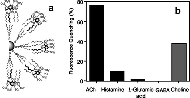 CdSe/ZnS QDs for acetyl choline sensing: (a) Schematic representation of calixarenes coated QDs; (b) fluorescence quenching of QDs in the presence of neurotransmitter compounds and choline (1.6 mM, PBS buffer pH 7.4; adapted from ref. 14c).