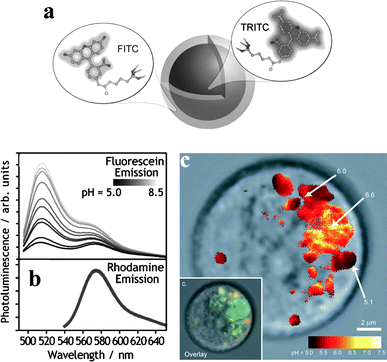 Sensing with fluorescent nanoparticles - Nanoscale (RSC 