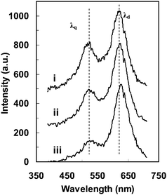 The LSPR spectra at individual locations (i, ii and iii) in the single nanoparticle in Fig. 10 showing anisotropic optical responses due to the variation in local 3D morphology and the orientation of the specific local 3D morphology. (Y. Song, et al.J. Phys. Chem. C, 2010 114, 74–81; copyright (2010) American Chemical Society. Adapted with permission.)