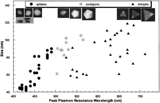 
            TEM lateral size versus the spectral peak wavelength for several individual silver NPs. The size of each nanoparticle is assigned by the TEM image taken with the electron beam normal to the sample. The characteristic dimension for a spherical particle (circular image) is the diameter, for a pentagon it is the length between opposite corners, and for a triangle it is the length of a side. Typical colloidal sample color population is approximately as follows: 85% of the particles are blue, 5% of the particles are green, 5% of the particles are red, and 5% of the particle population has a broad or dual-peak spectral signature that indicates clustering or other complex shapes. Representative TEM images for three different size particles, of each geometrical shape, are also shown (top images). (J. J. Mock et al., J. Chem. Phys., 2002, 116(15), 6755–6759; copyright (2002) American Institute of Physics. Adapted with permission.)