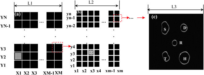 The multi-hierarchy arrayed micro windows on the substrate (e.g., glass cover slip). (a) The first tier of the multi-hierarchy arrayed micro window, each local area can be discerned by marking its X and Y number, such as the red area of X1–Y2. (b) The second tier of the multi-hierarchy arrayed micro windows, whose scale can be reduced by M or N times, whose local area can also be marked by x and y numbers. If this area is the sub-tier in the red area of the first tier, it can be labeled as X1–Y2–x3–y3. Step-by-step, the last tier with several unique-shaped transparent windows can be reached. The open windows can be made with different shapes. (c) The nanoparticles can be fabricated on the micro-pattern by various methods (e.g., nanosphere lithography). In each window, the same nanoparticle can be identified by comparing the images taken by optical microscopy, AFM, or other microscopy methods. Finally, the structural parameters (size, shape, orientation, interparticle spacing, and thickness) can be correlated with their optical responses (Y. Song, et al.J. Phys. Chem. C, 2010 114, 74–81; copyright (2010) American Chemical Society. Adapted with permission.)