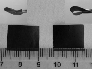Digital camera images of the CNF paper (left) and the CNF–PANI composite paper (right). The inset images indicate the flexibility of the samples.