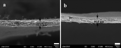 Side-view SEM images of the CNF paper (a) and the CNF–PANI composite paper (b). The scale is 10 μm in (a) and (b).