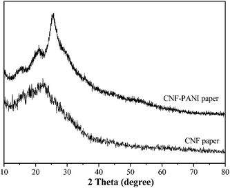 XRD patterns of the CNF paper and the CNF–PANI composite paper.