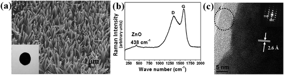 (a) SEM image of carbon/ZnO nanorod arrays. Inset is an optical image of the electrode. (b) Raman spectrum of the arrays. Excitation laser wavelength: 532 nm. (c) HRTEM image and SAED pattern of an individual carbon/ZnO nanorod. The circle indicates the presence of carbon shell. Reprinted with permission from ref. 82a. Copyright 2009 American Chemical Society.