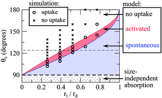 A phase diagram of different “capillarity” regimes predicted by the model considered here. As with macroscopic reservoirs, fluids with θc < 90° undergo spontaneous absorption regardless of droplet size. For fluids with θc > 90°, the condition for capillary uptake is size-dependent. The distinction between activated and spontaneous capillary absorption regimes lies in whether or not there is an energy barrier to uptake. The size dependence predicted by our continuum mode is in good agreement with molecular dynamics simulations. The horizontal line at θc = 124° marks the contact angle formed by Ag droplets on graphite.26