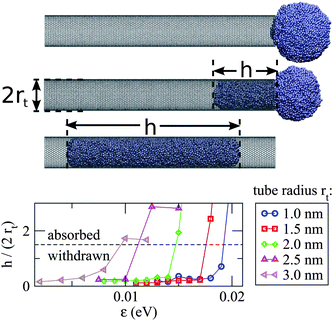 (Top) Snapshots illustrate the simulation of a Ag droplet (rd = 3.9 nm) near the open end of a single-walled carbon nanotube (rt = 2.0 nm). Note that in the last frame that the droplet has moved beyond the tube neck due to inertia. (Bottom) Five zigzag nanotubes of different radius are considered, and in each case the value of ε is gradually increased until the droplet is absorbed. The maximum value of h/(2rt) obtained from each simulation is plotted versus the specified ε. We only consider ε < 0.025 eV, corresponding to the non wetting regime (θc > 90°), hence capillary uptake here is driven solely by the Laplace pressure acting on the droplet.