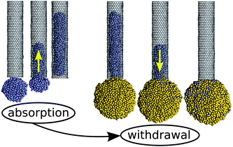 Simulated capillary absorption of a small Ag droplet (blue-coloured atoms), followed by its withdrawal when brought into contact with a larger droplet (gold-coloured atoms). During both, the absorption and the withdrawal, the same value of ε = 0.016 eV (θc ≈ 120°) was used. This demonstrates how droplet size can be exploited to control capillary action.