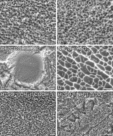 Characteristic SEM images of Ti surfaces nanostructured by oxidative etching with different solutions (scale bars 100 nm). Reproduced with permission from ref. 50. Copyright 2008, ACS.