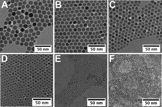 
            TEM images of iron oxide nanocrystals of 14 nm (eicosene, r = 1) (A), 11 nm (di-n-octyl ether, r = 2) (B), 9 nm (dibenzyl ether, r = 1) (C), 5 nm (di-n-octyl ether, r = 0.3) (D), 3.5 nm (hexadecene, r = 0.5) (E), and 2.5 nm (di-n-hexyl ether, r = 0.5) (F).