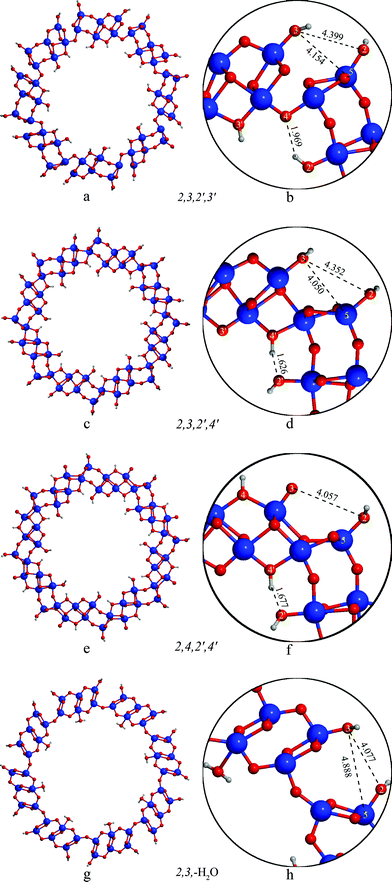 Structure of the (8,0) nanotubes with different protonation patterns.