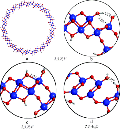 Structure of (18,0) nanotubes with different protonation patterns.