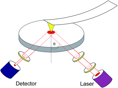 Scheme of the experimental setup. The optics is equipped with a detector- and a laser-arm operated at a fixed angle of incidence θ = (41 ± 1)°. The latter contains, besides the laser and a first λ/4 plate, a polarizer followed by a motorized compensator to obtain the desired state of polarization. The light reflected from the sample, which is coated onto a glass slide, passes through an analyzer and is detected by a photodiode. An additional lens, not shown here for clarity, is also located in the laser-arm, in order to focus the laser. The AFM tip, which is coated with a thin gold layer, is scanning the sample in contact mode (for details see text).